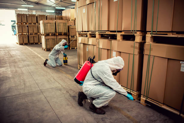 Best Pest Prevention Services  in Mayflower Village, CA