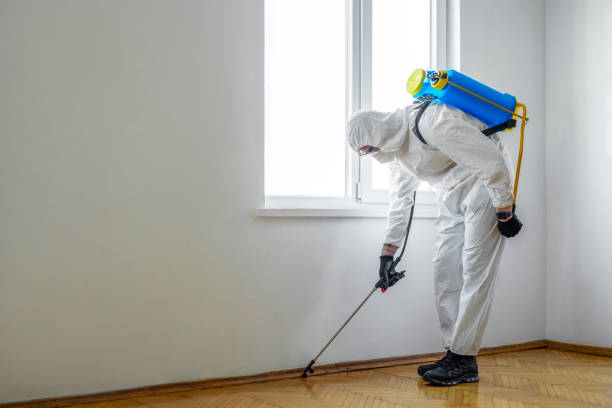 Best Pest Removal Services  in Mayflower Village, CA