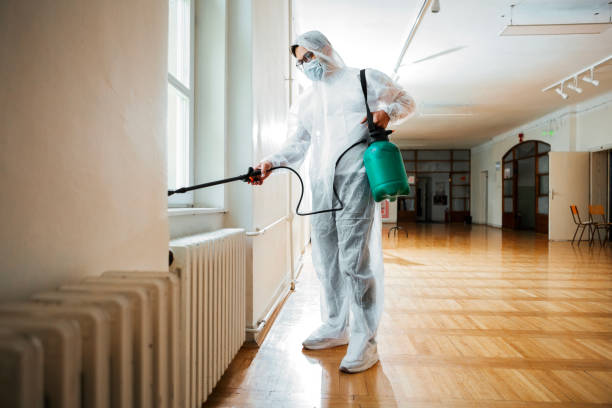 Best Termite Control Services  in Mayflower Village, CA